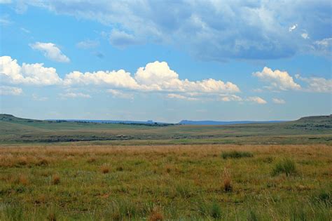   The Veld Landscape - A Captivating Fusion of Earthly Tones and Celestial Majesty